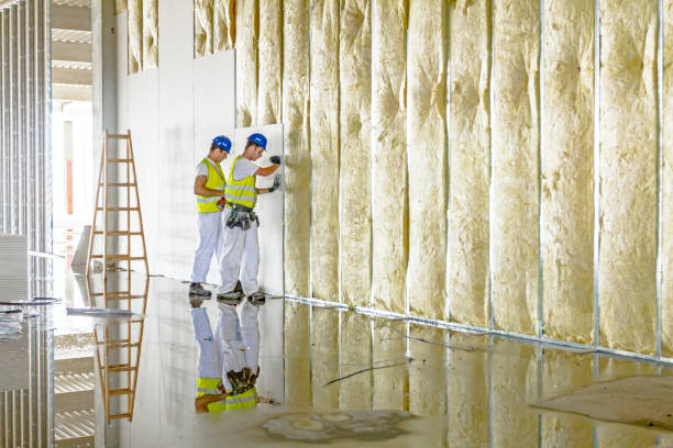 Best Spray Foam Insulation in Frenchtown, MT